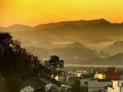 雅安市藏茶產業現代農業園區以社會化服務促園區煥發新活力