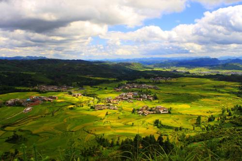 合川區(qū)為“十四五”期間成功創(chuàng)建國家級(jí)農(nóng)業(yè)科技園區(qū)奠定基礎(chǔ)