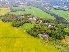 河南：借力十四五規劃，打造我省現代服務業發展高地
