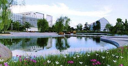 大批高端人才聚集東莞創(chuàng)新創(chuàng)業(yè) 助力產業(yè)轉型升級