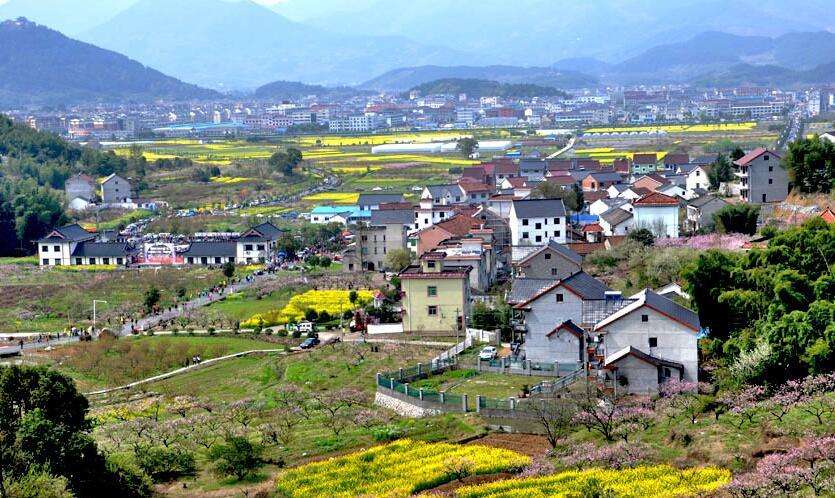 陳文勝：鄉(xiāng)村振興的資本、土地與制度邏輯