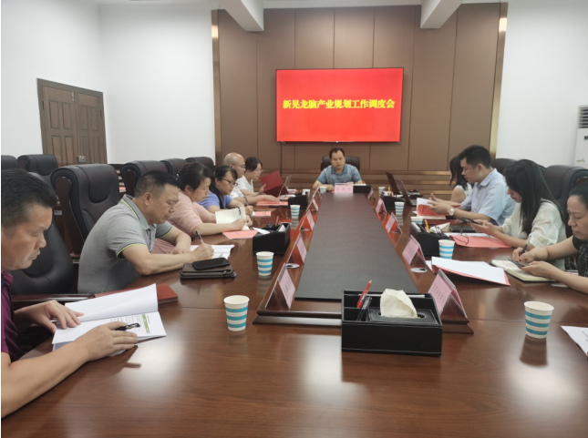 發(fā)力五型經(jīng)濟,著力打造“中國龍腦之都”
